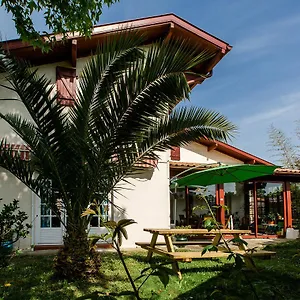 Nami House Hostel